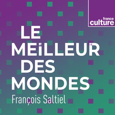 Le Meilleur des mondes : entretien avec Anne Alombert