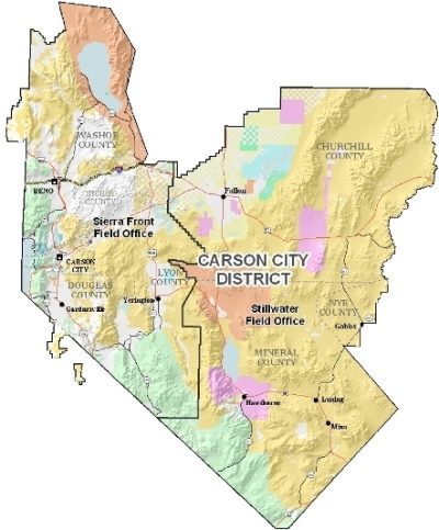 carson-city-district