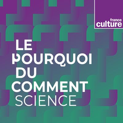 france-culture-le-pourquoi-du-comment